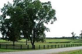 &copy; Talaria Farms